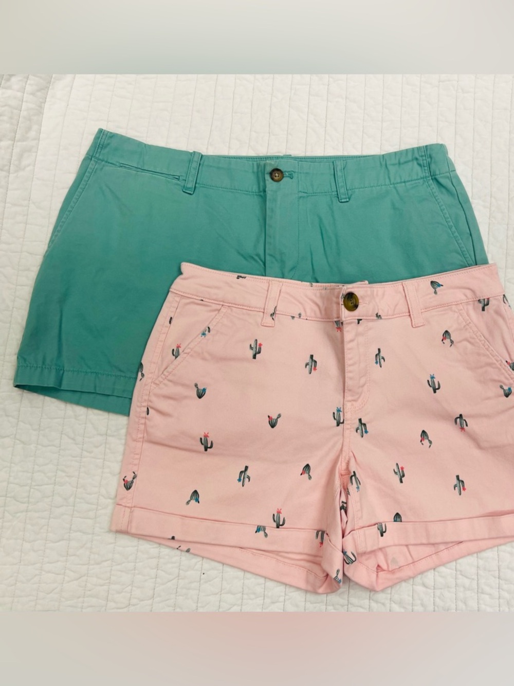 Bundle of 2 women’s shorts- Pink Cactus Print and Sage Green, size 8